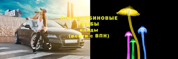 метамфетамин Гусев