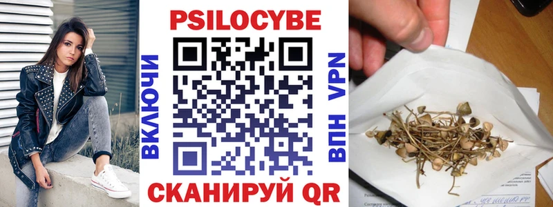 Купить где  Кудрово  Псилоцибиновые грибы мицелий 
