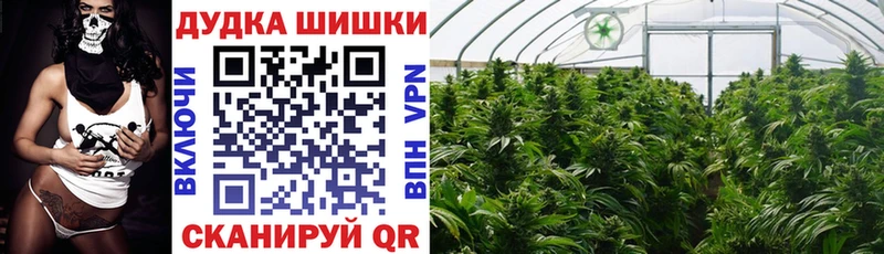 Конопля планчик  Купить где  Кудрово 